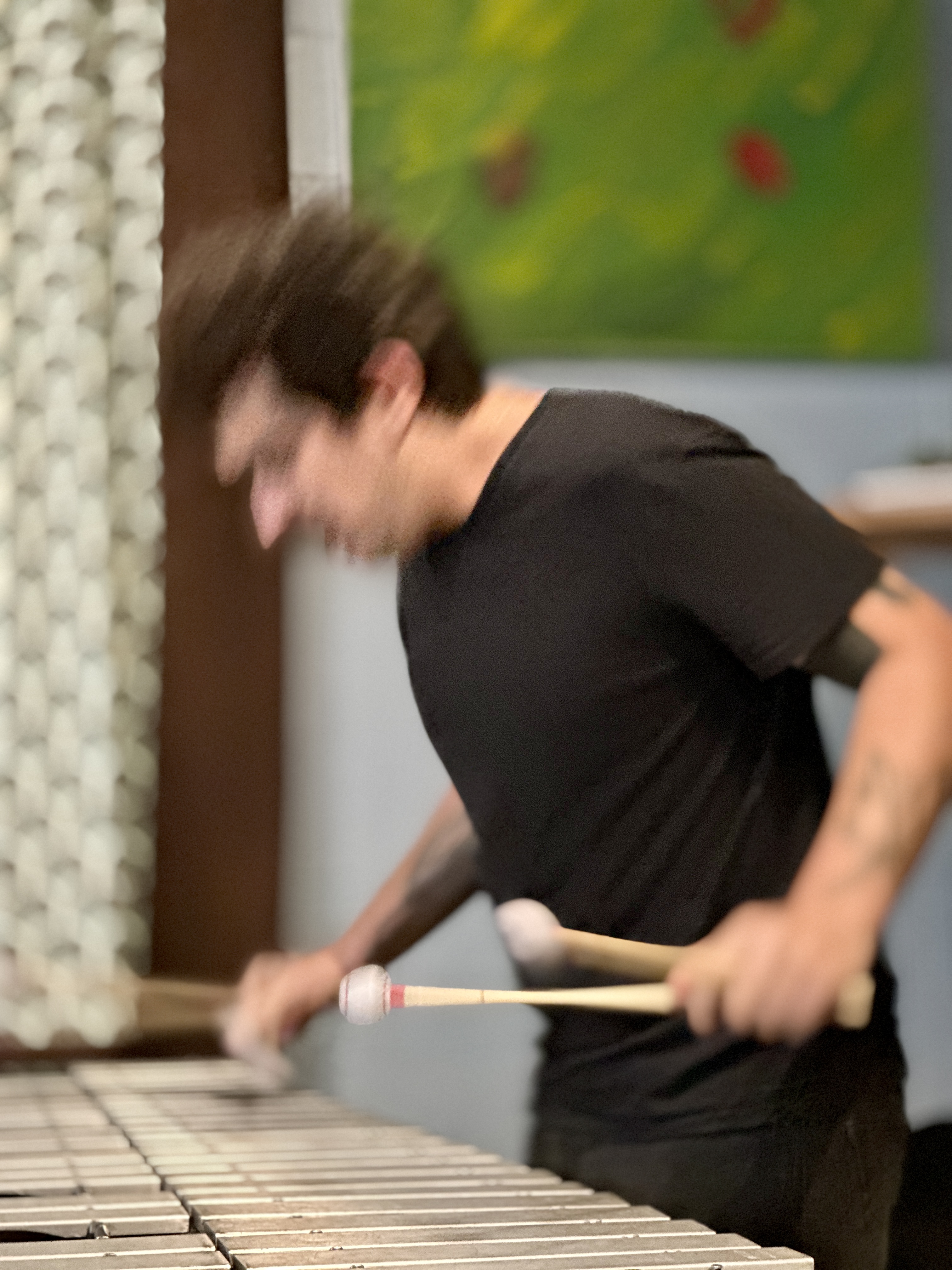 BarkCulture2025-08-12SugarMapleMilwaukeeWI (2).JPG